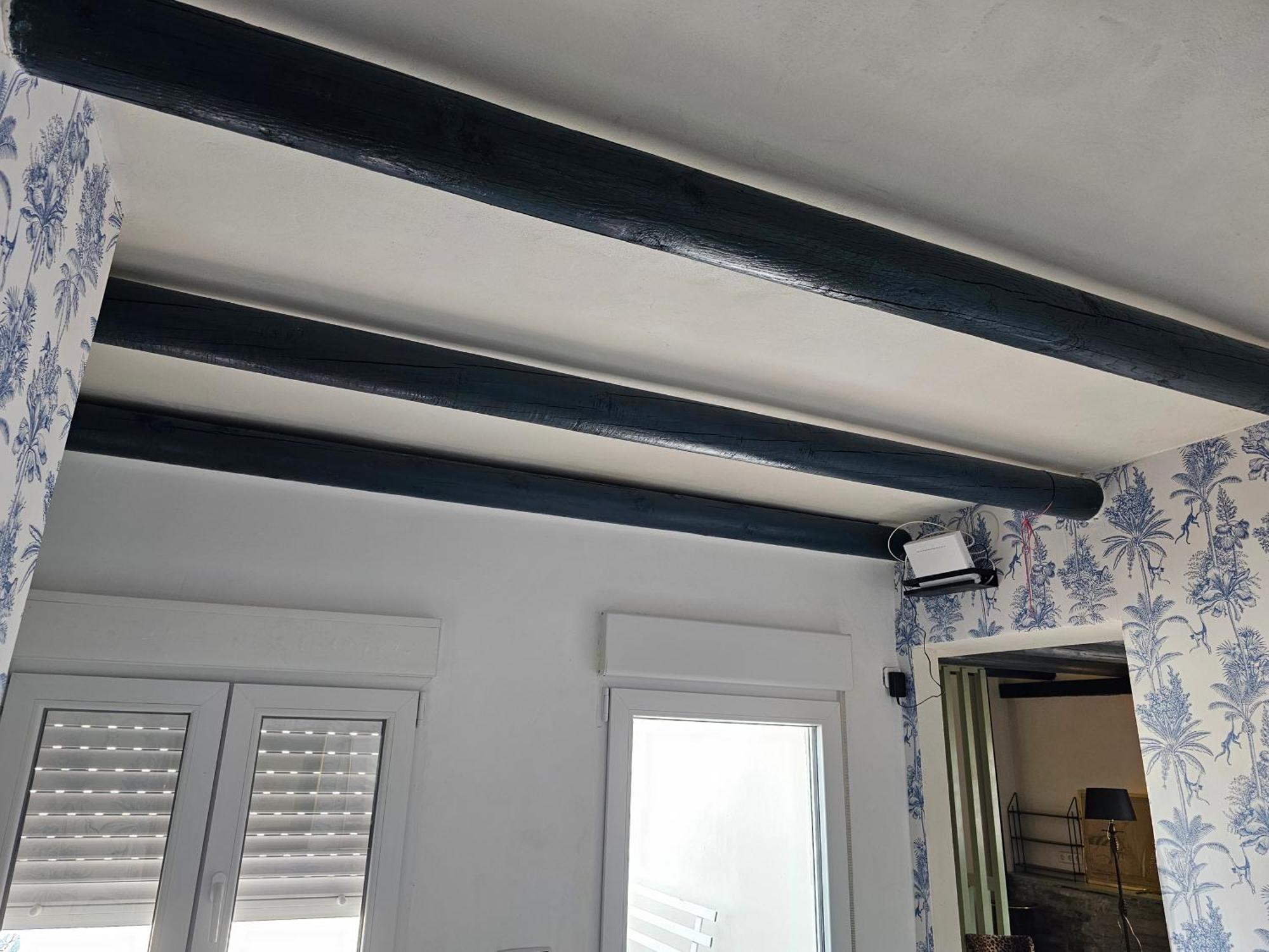 Apartamentos Gaviota 발렌시나데라콘셉시온 객실 사진